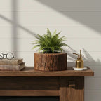 Acacia Wood Planter - Bring Natural Warmth Indoors